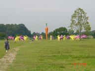 LGS